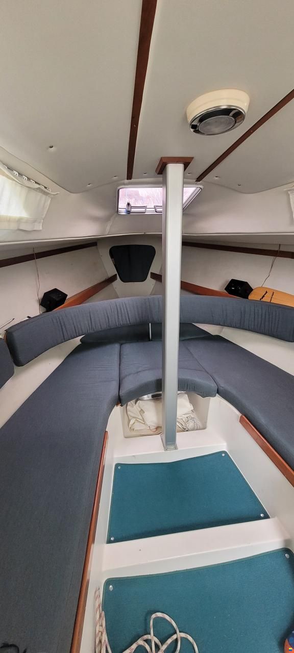 Nimbus Maxi 800