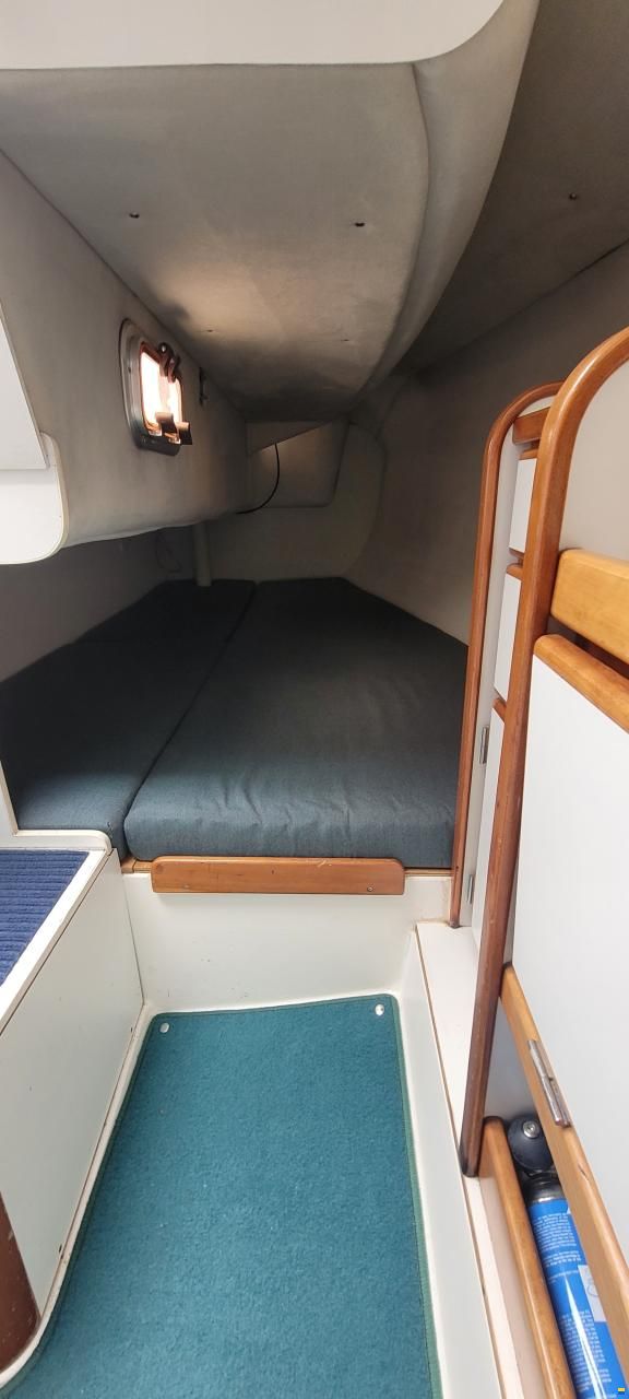 Nimbus Maxi 800