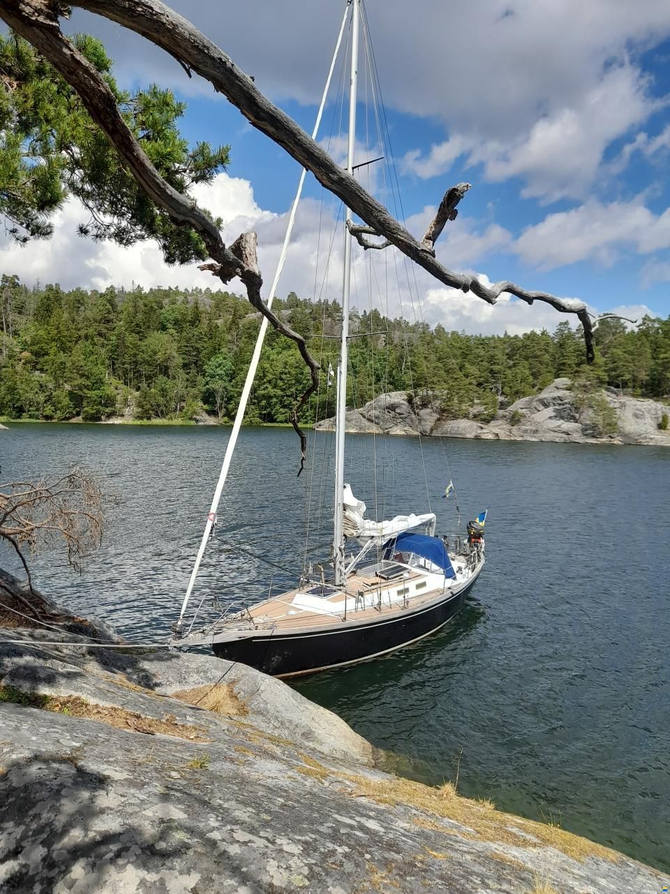 Tylökryssare