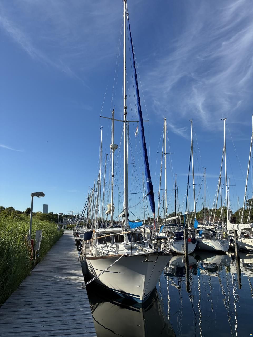 NAUTICAT 331