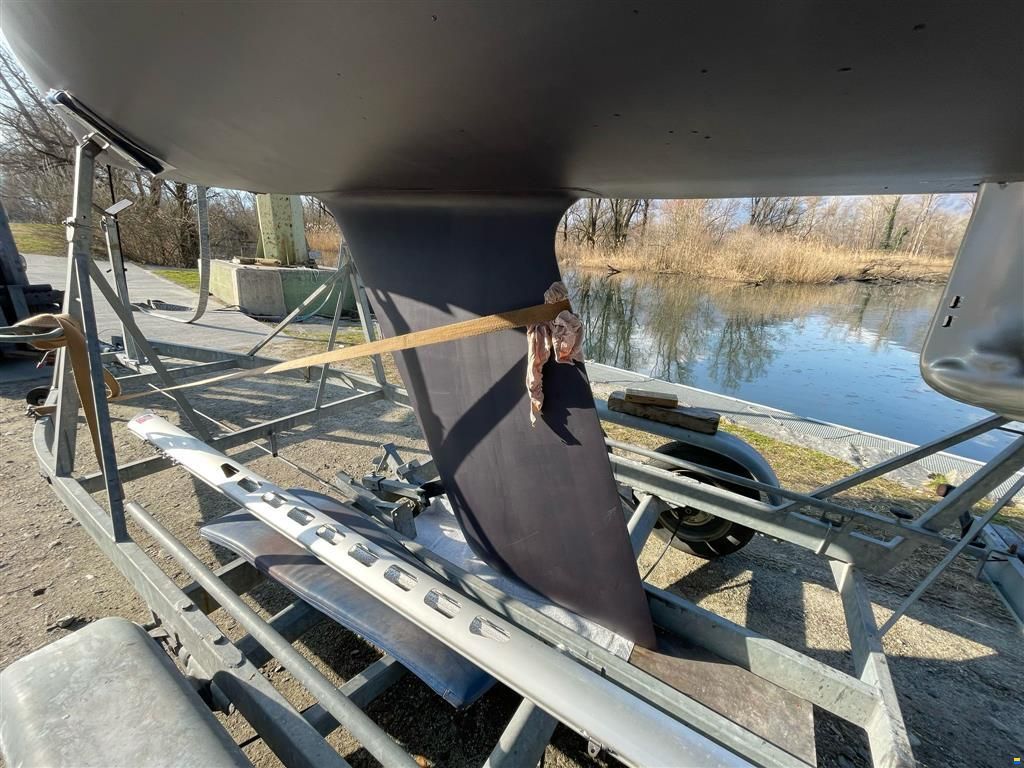 Archambault Surprise