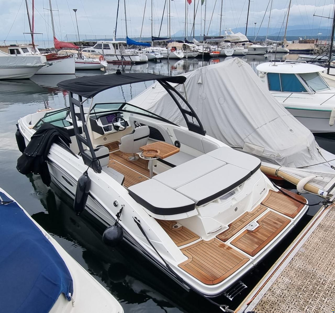 Sea Ray SPX 230 Europe