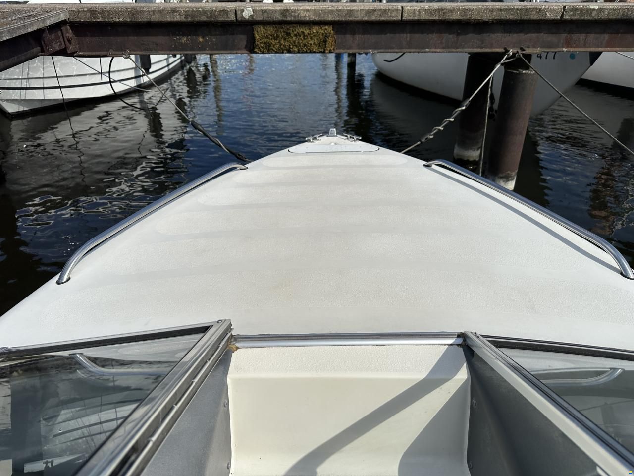 Stingray 558