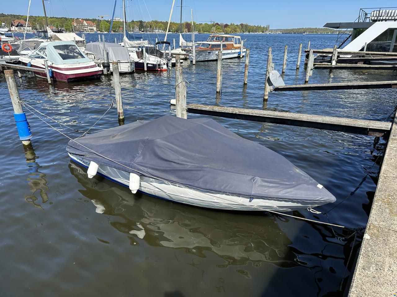 Stingray 558