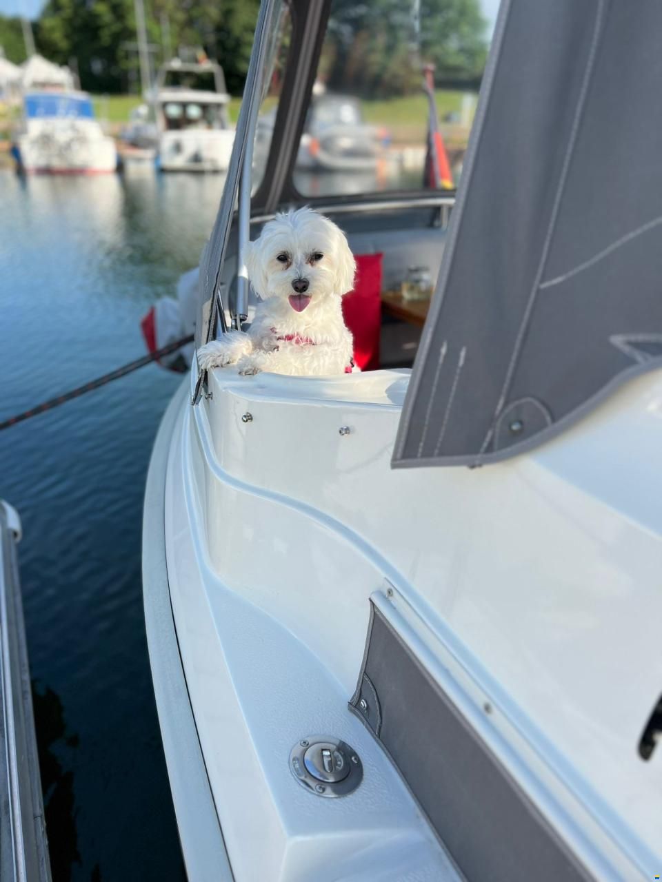 Scandboats Scand 25 Classic