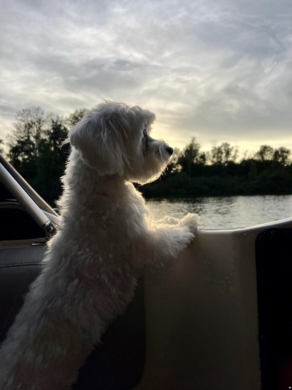 Scandboats Scand 25 Classic