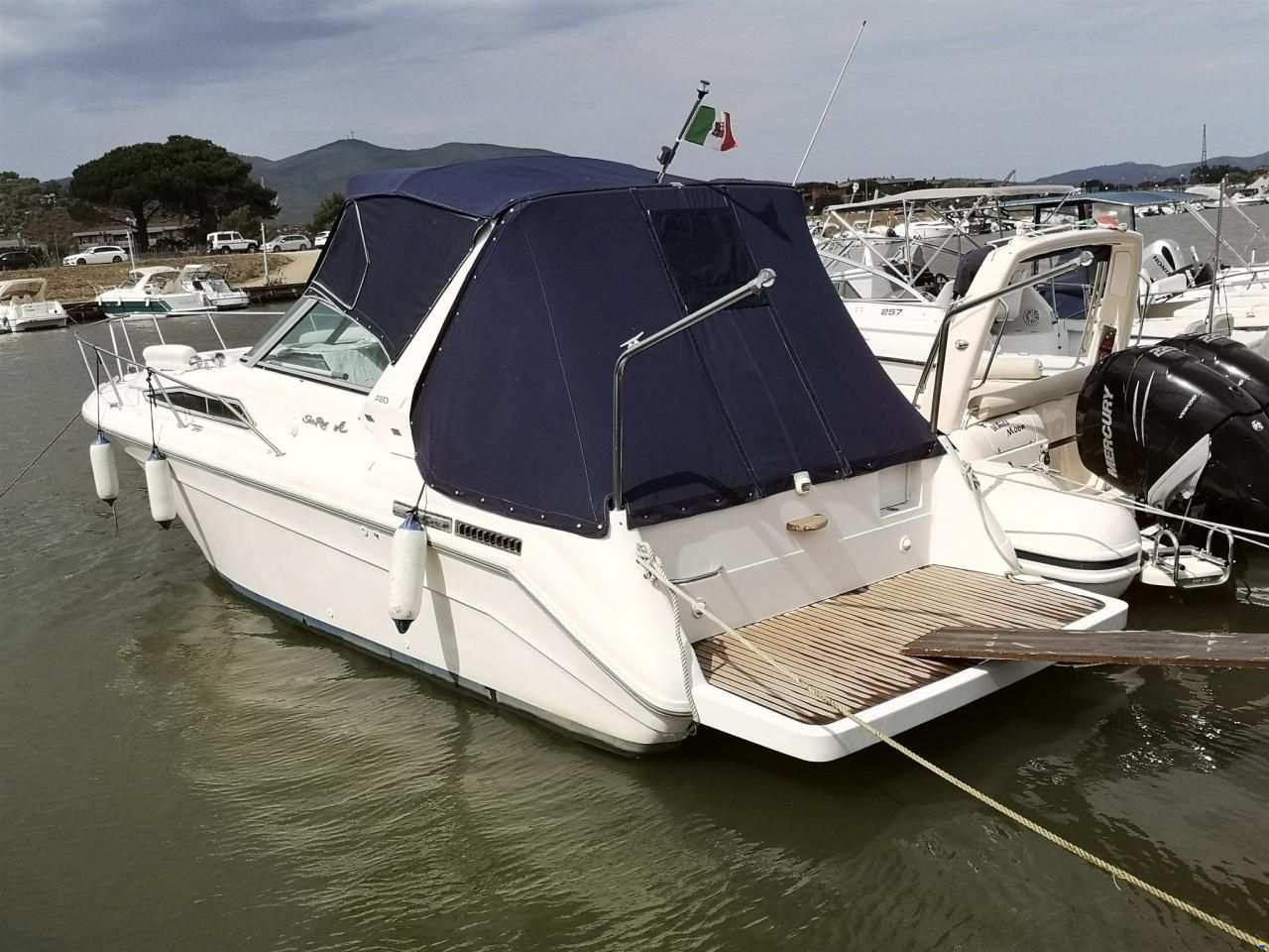 Sea Ray 290 DA