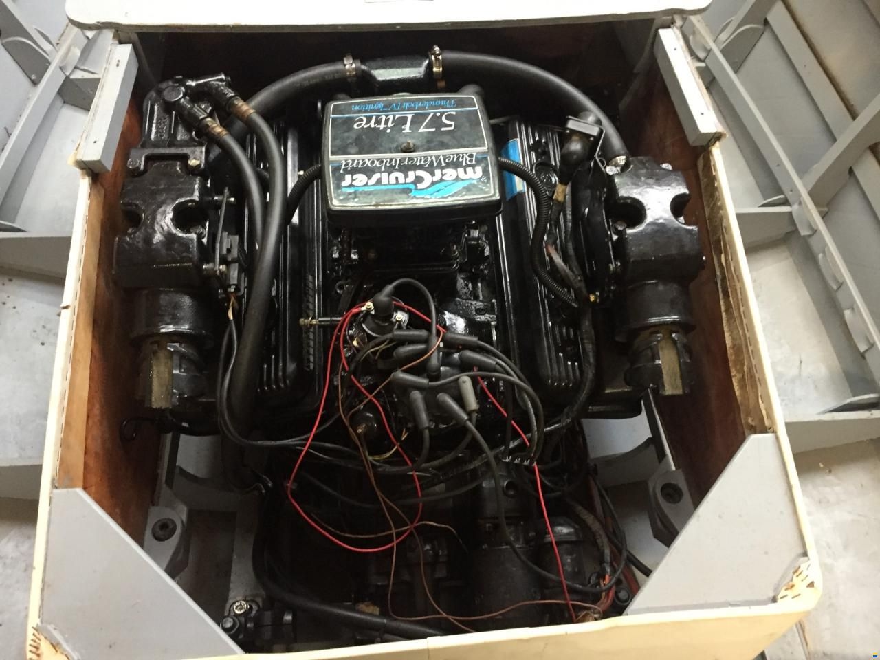 Riva Junior