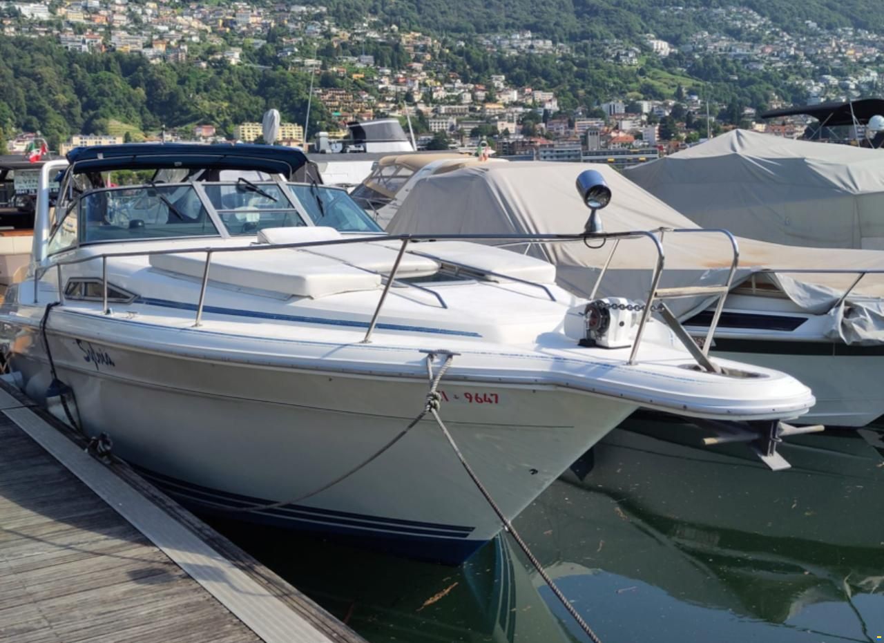 Sea Ray 310 DA