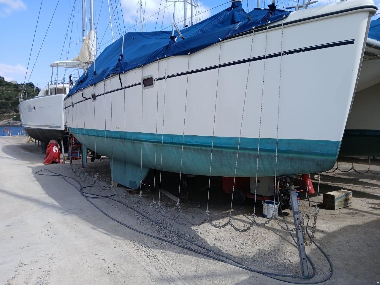 Alliaura Privilege 37