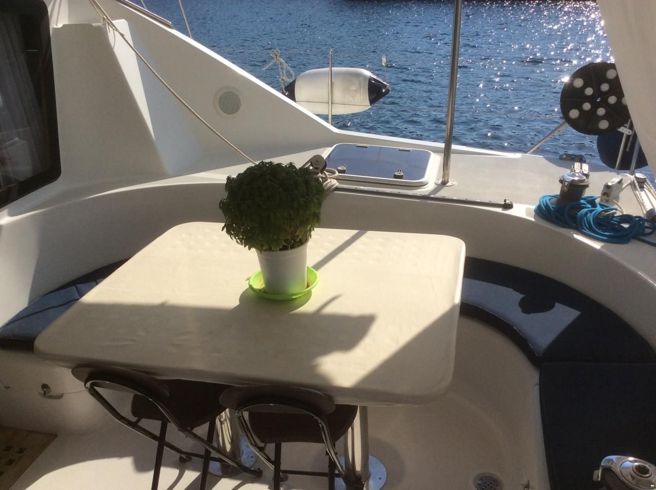 Alliaura Privilege 37