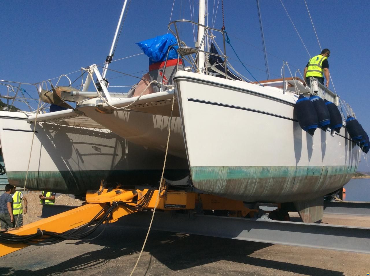 Alliaura Privilege 37