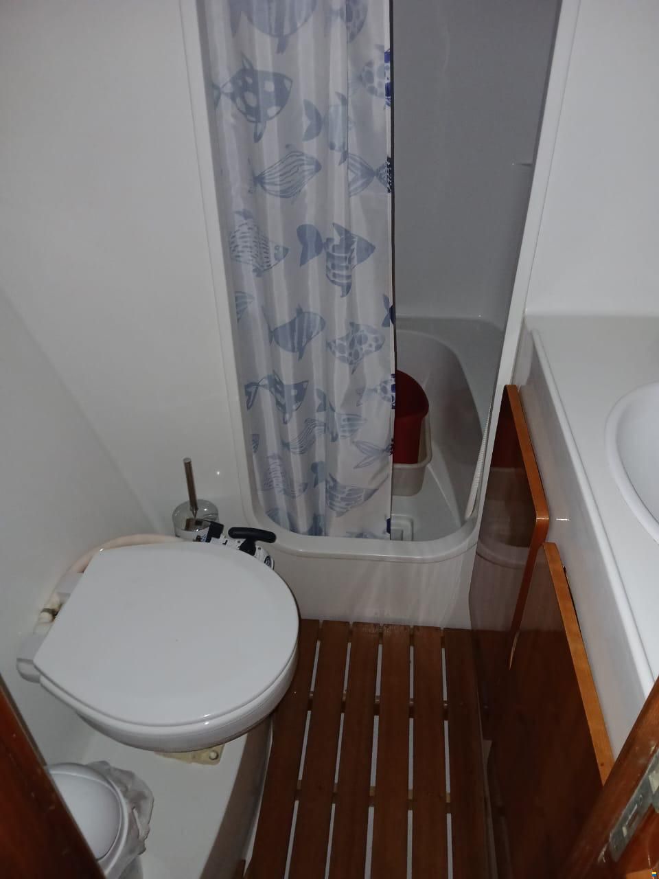 Alliaura Privilege 37