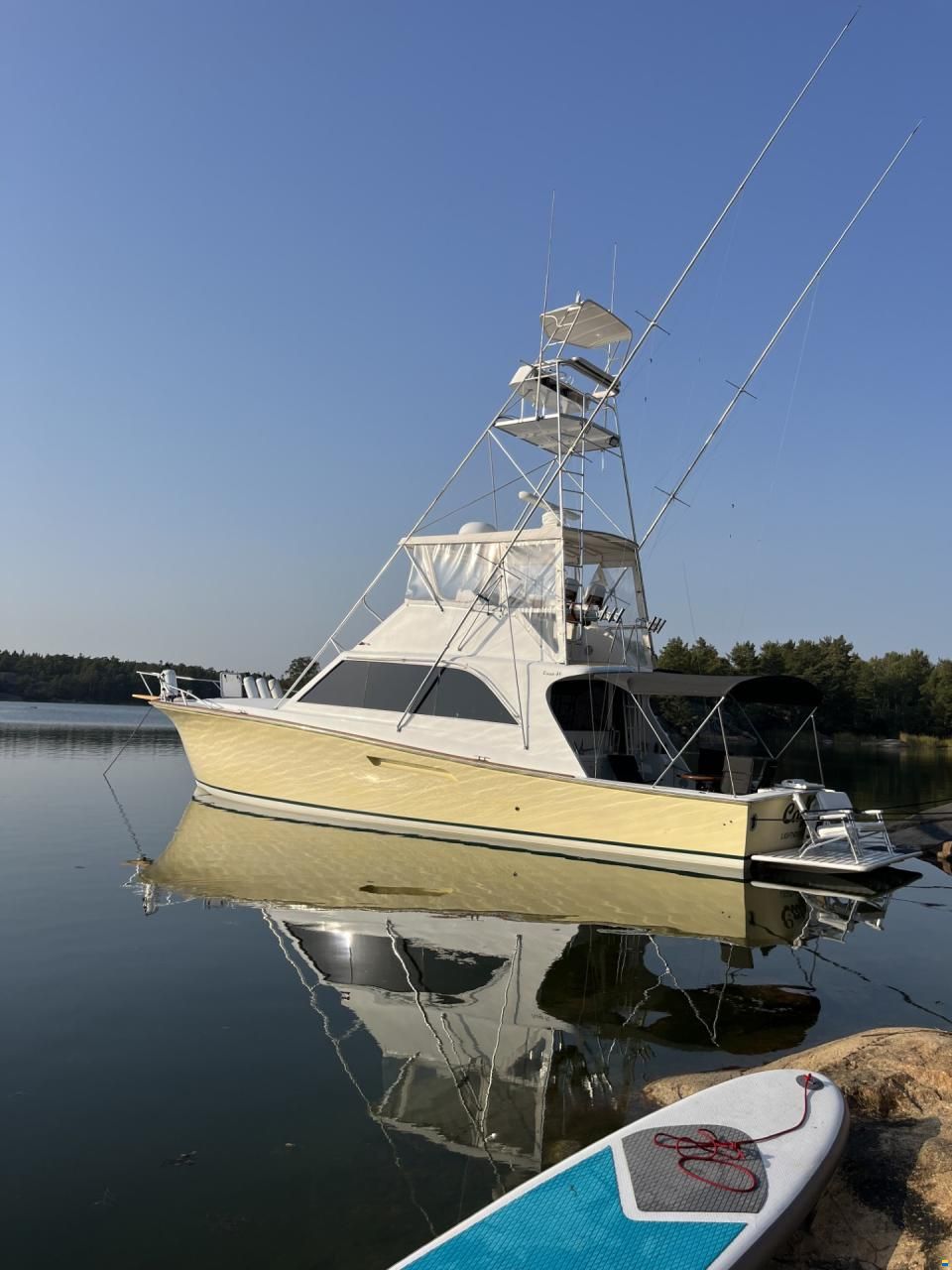 48 Sport Fish