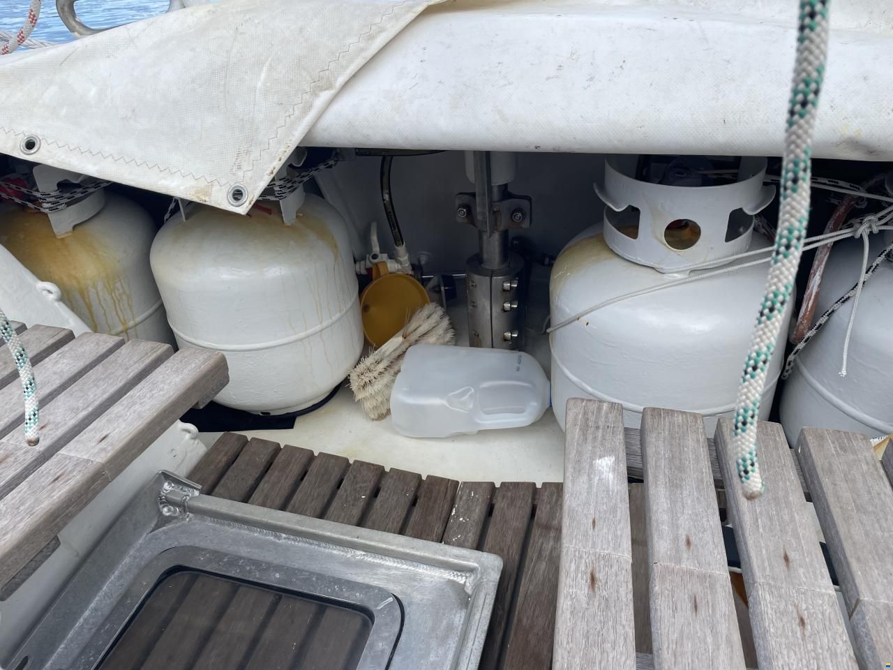 Damien II Schooner 49