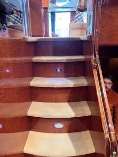 Elegance 65