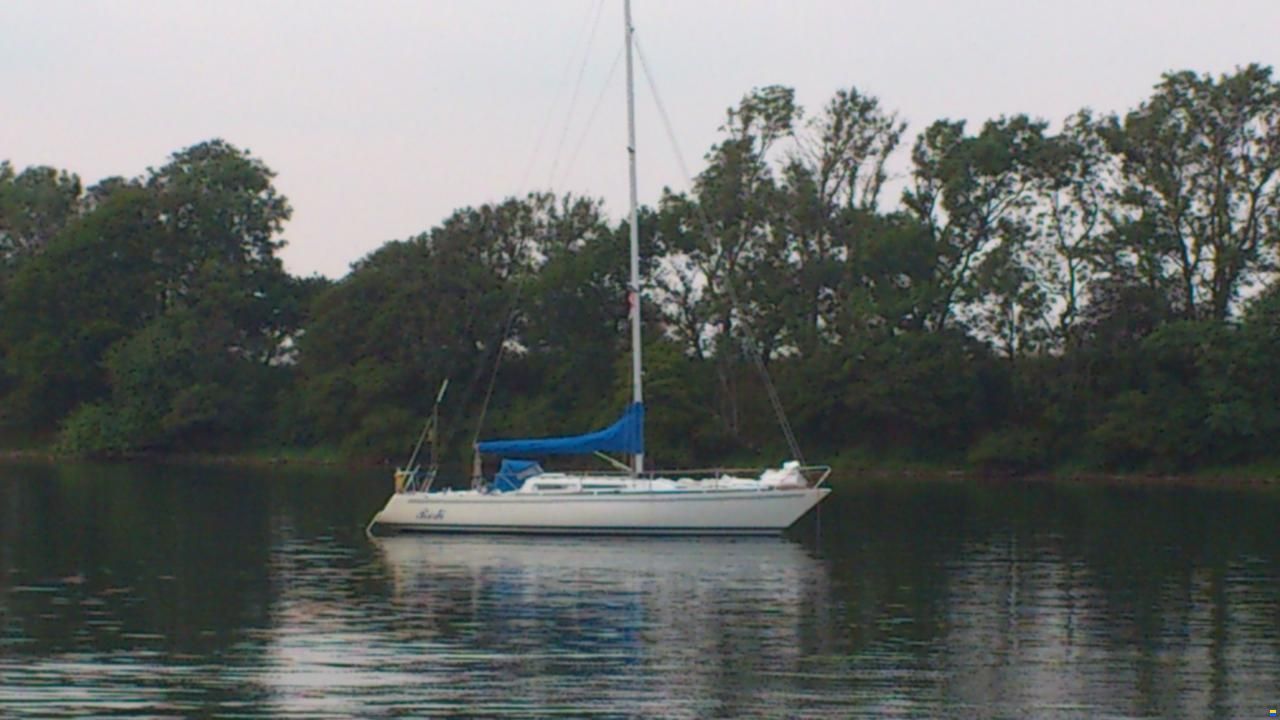 Larsen 34