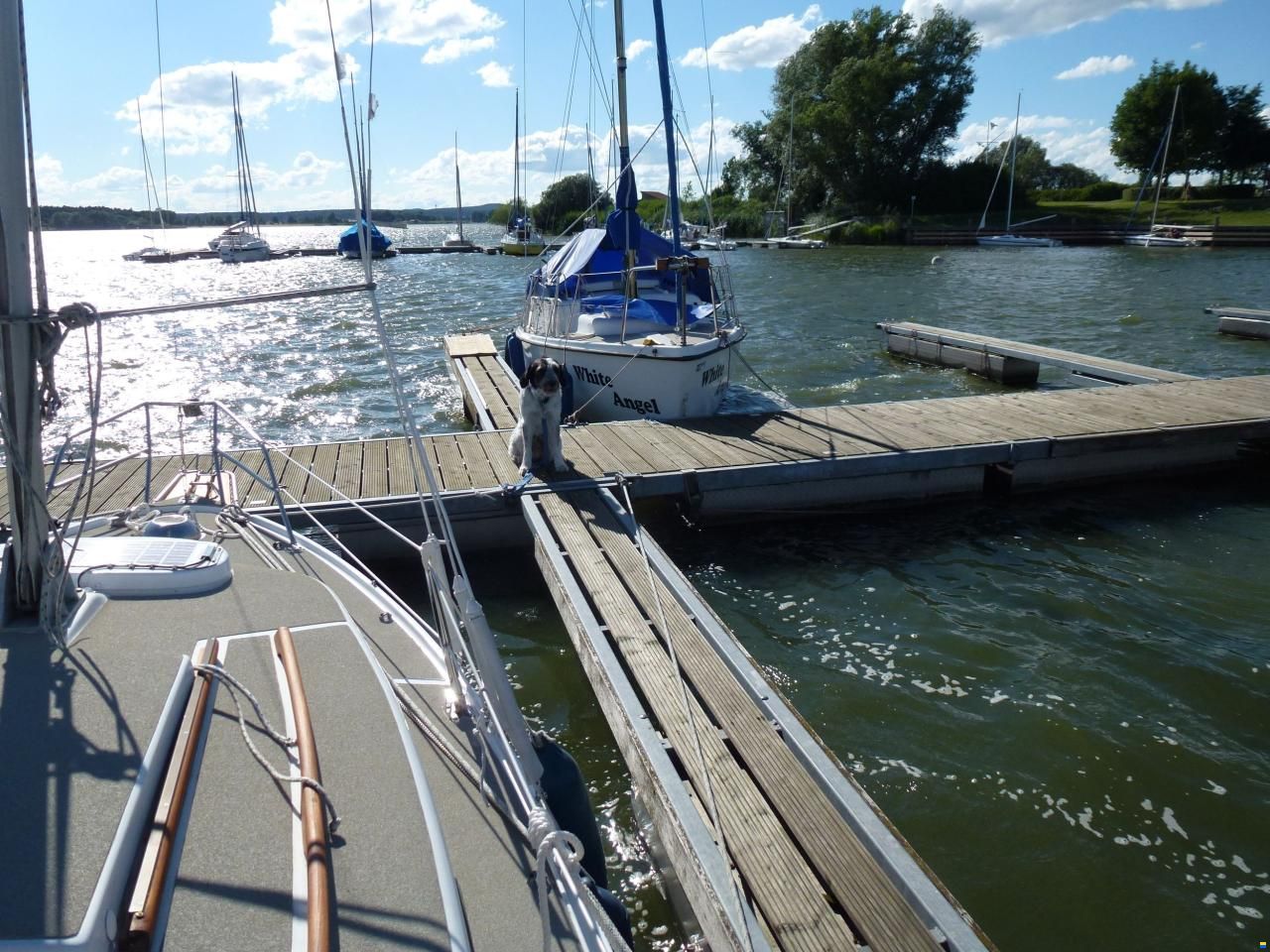 Neptun 212 S