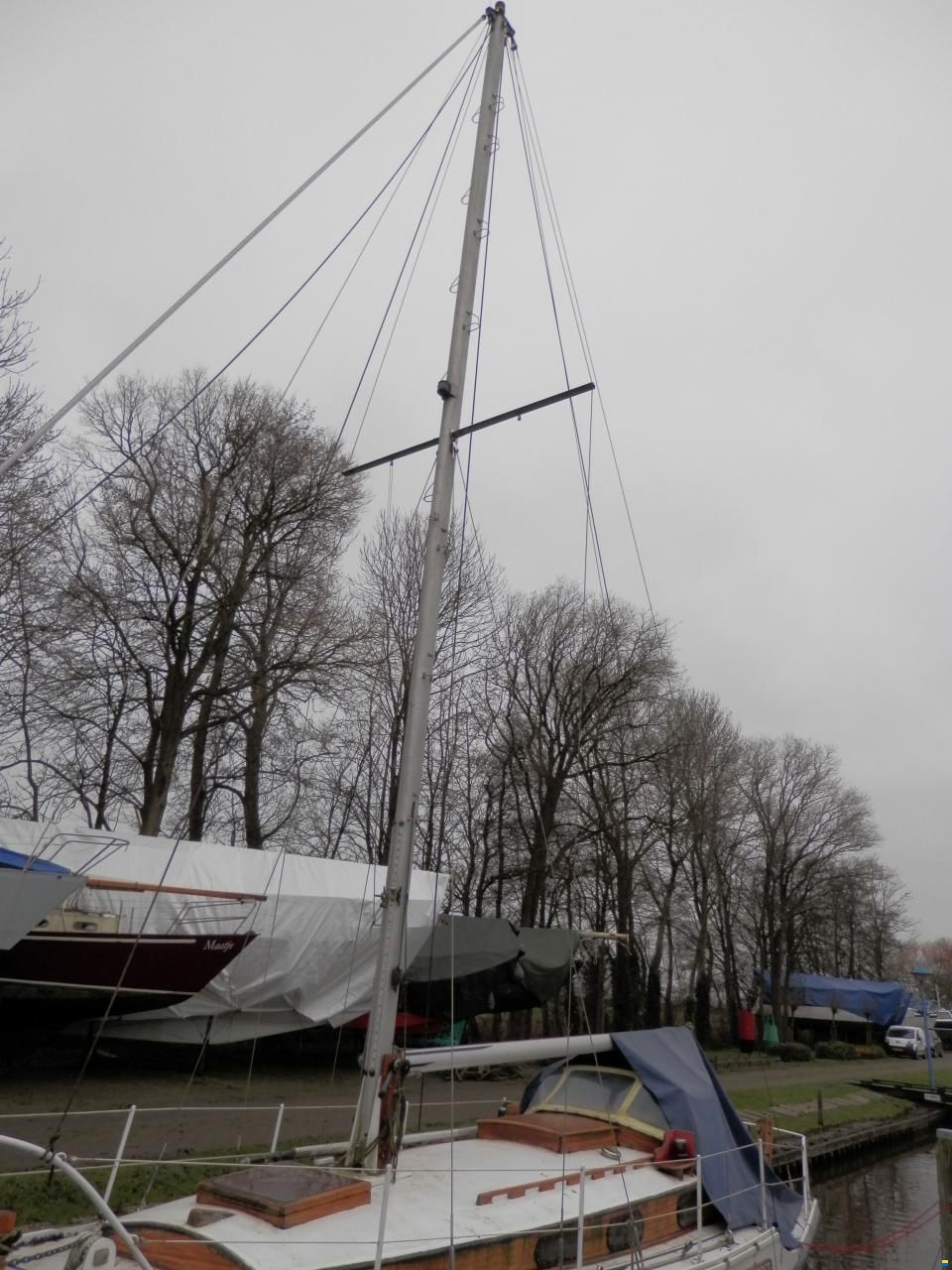 Golden Hind 31
