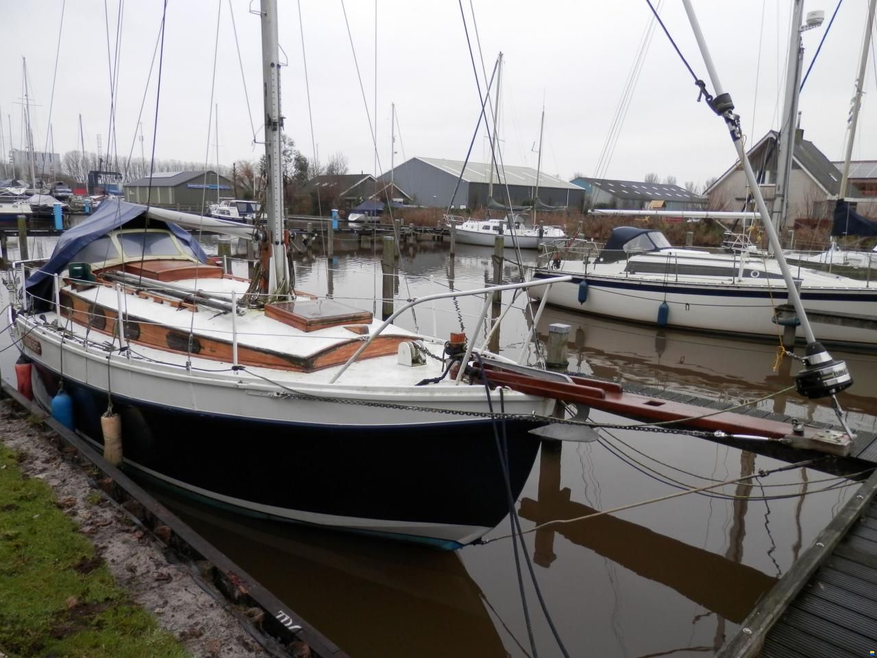 Golden Hind 31