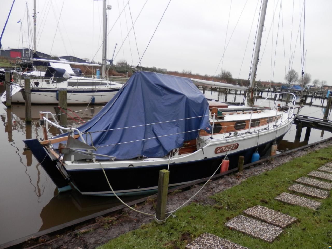Golden Hind 31