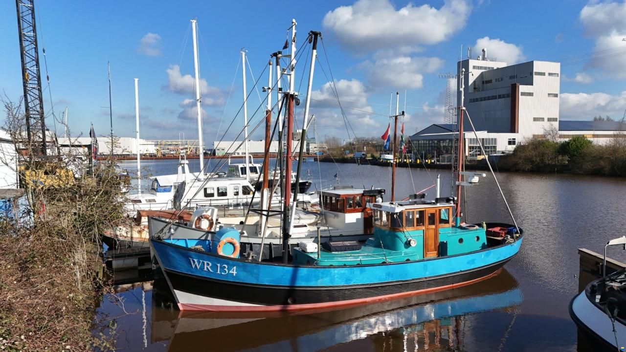Noordzeekotter  &lsquo;WR 134&rsquo;