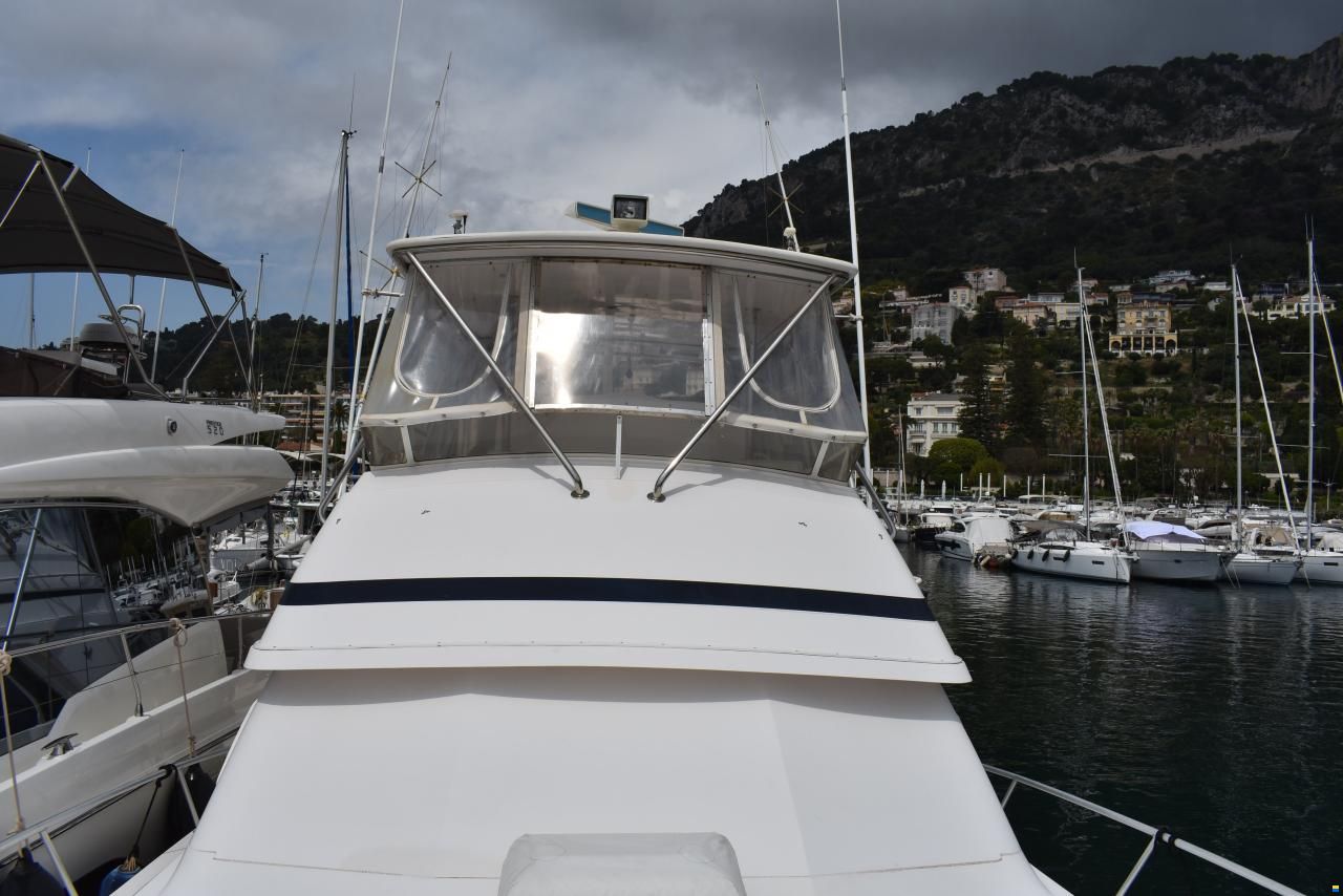 Bertram 46