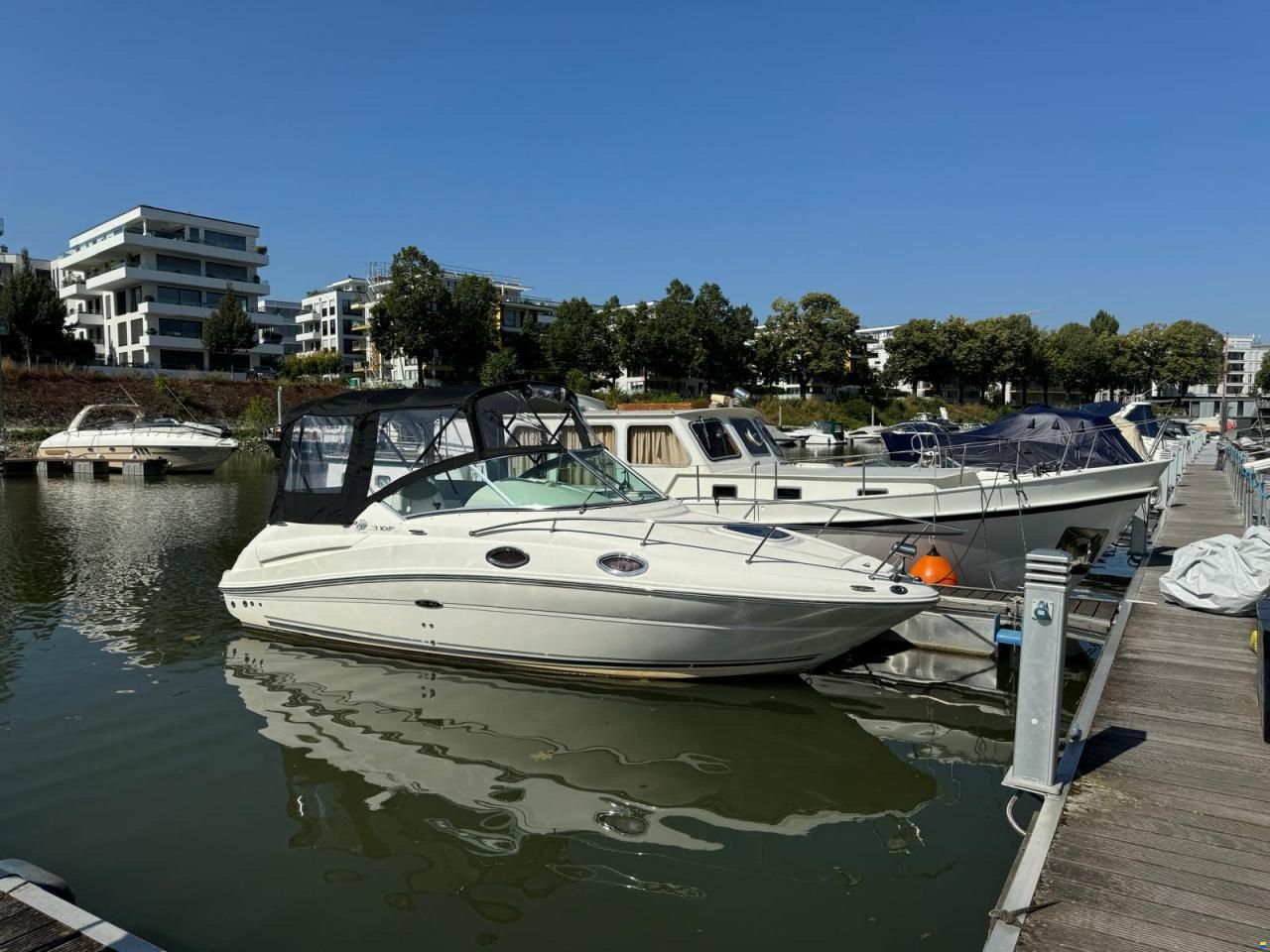 Sea Ray 245 Sundancer