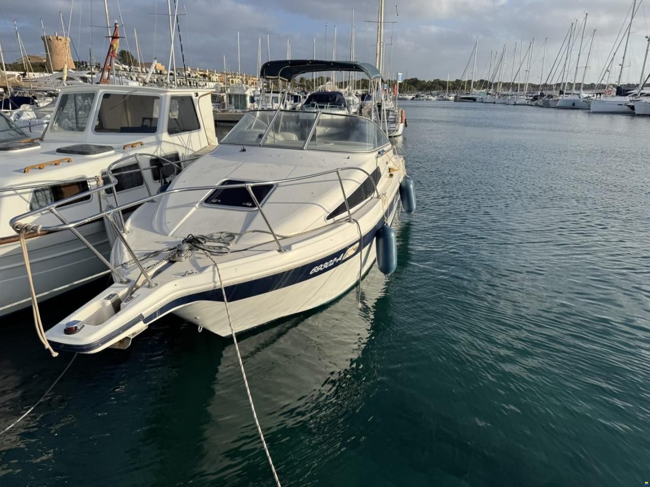 Bayliner Cierra 2655
