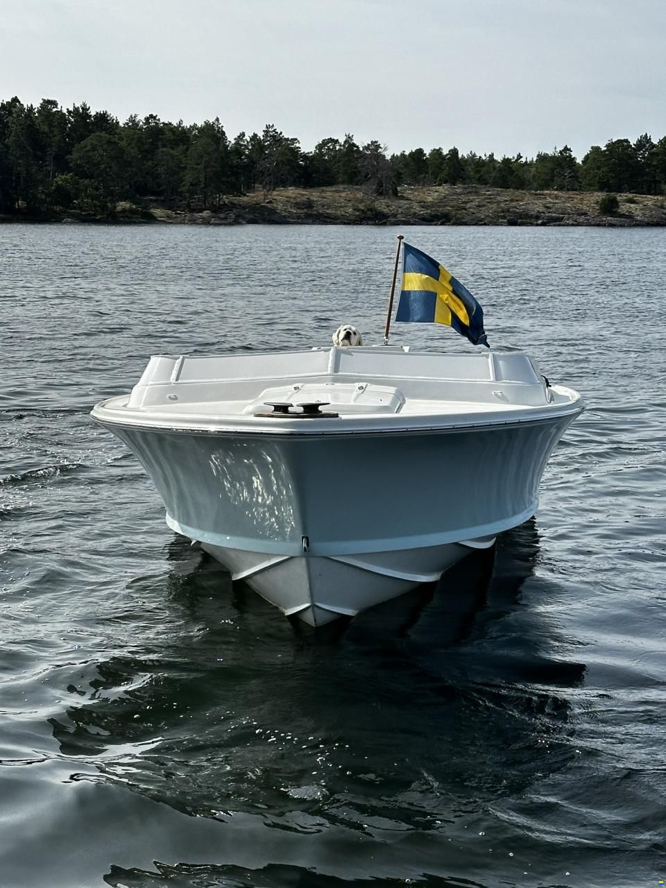 Bertram 25 Open