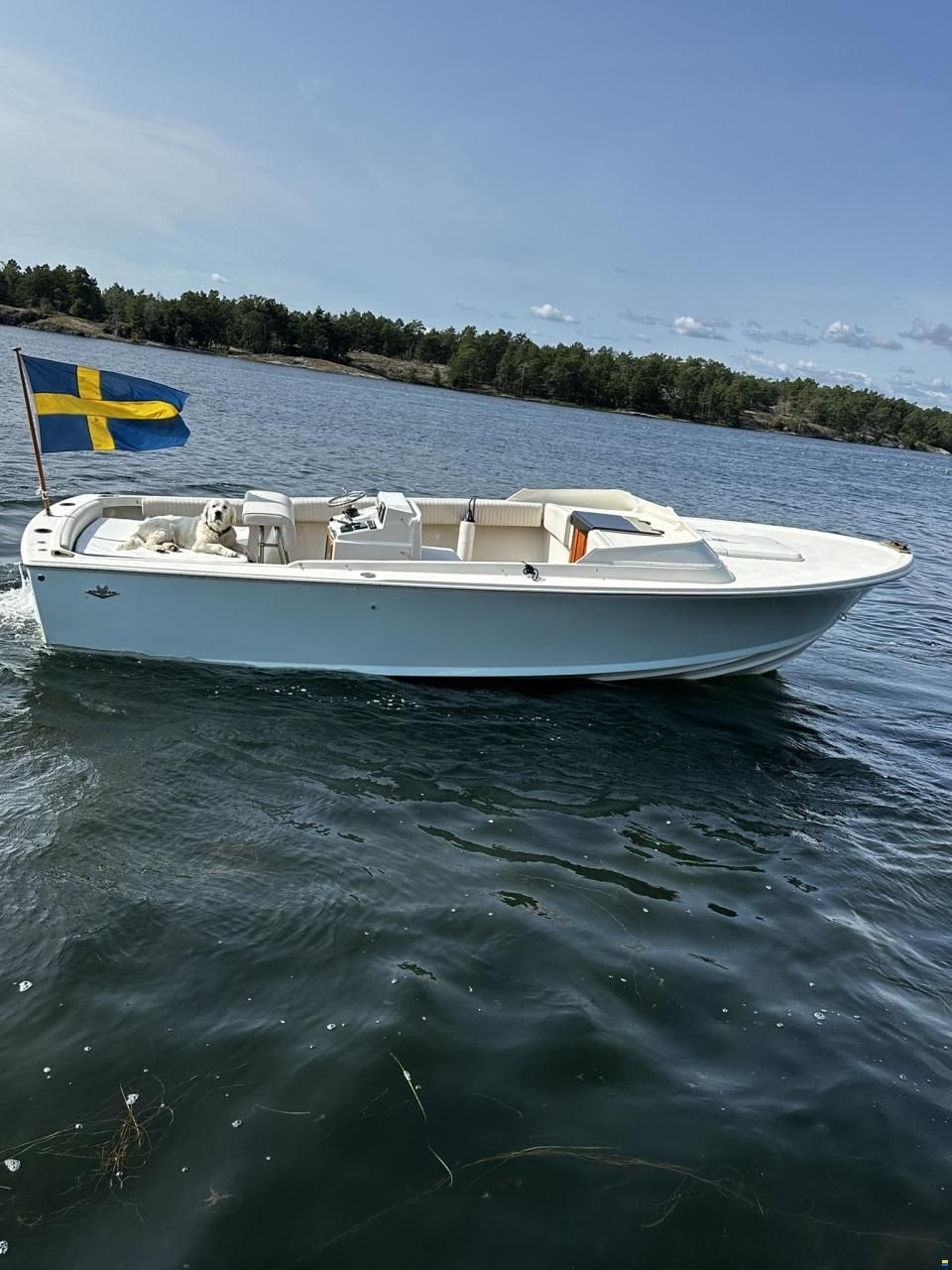Bertram 25 Open