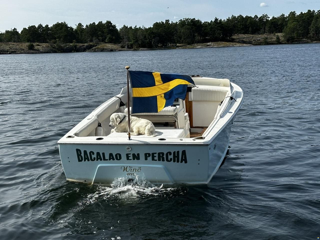 Bertram 25 Open
