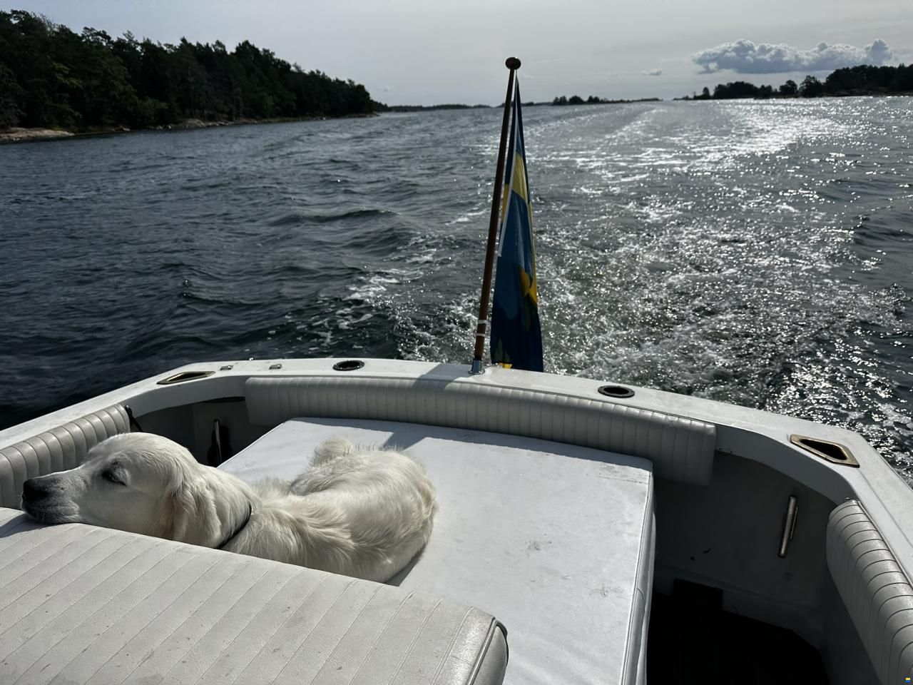 Bertram 25 Open