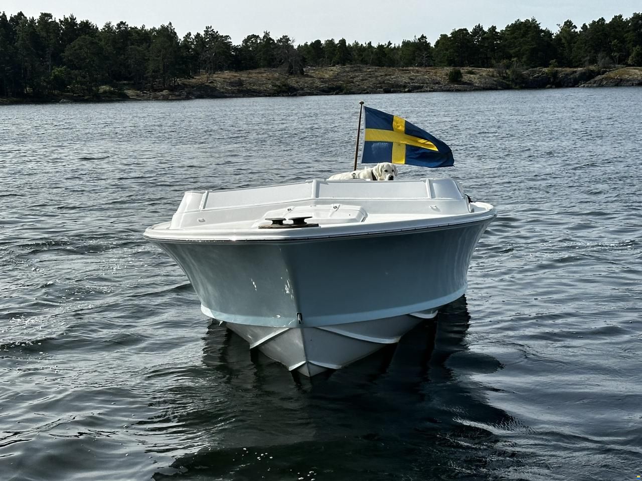 Bertram 25 Open