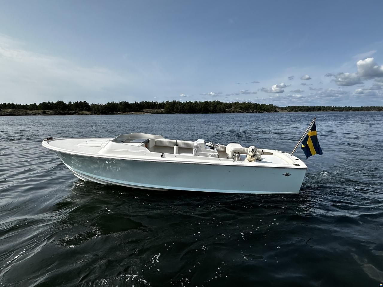 Bertram 25 Open