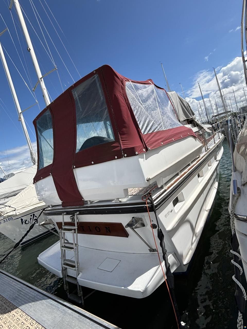 Cytra Ambassador 36
