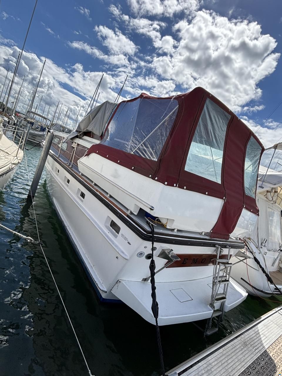 Cytra Ambassador 36