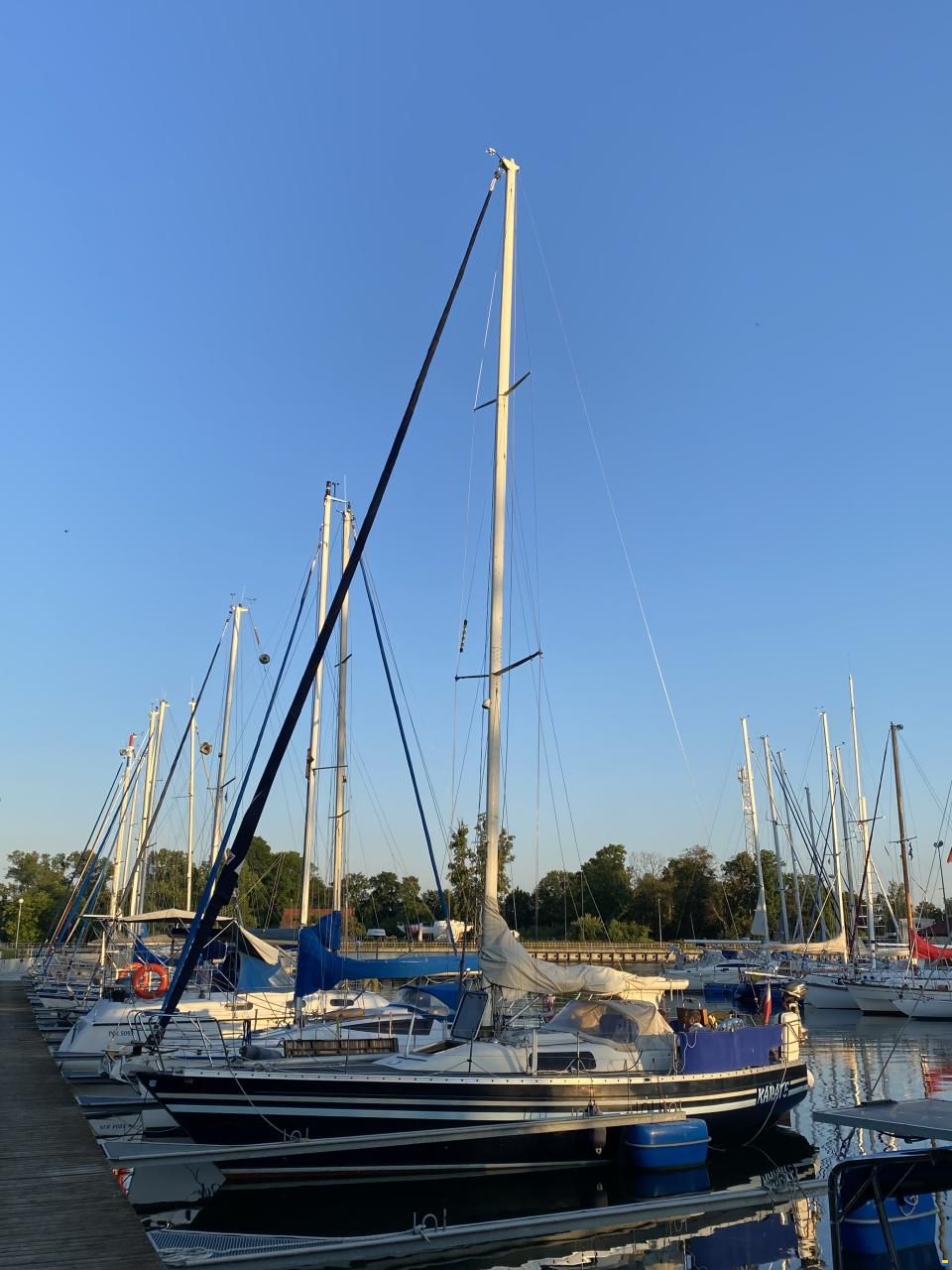 Contessa 35s