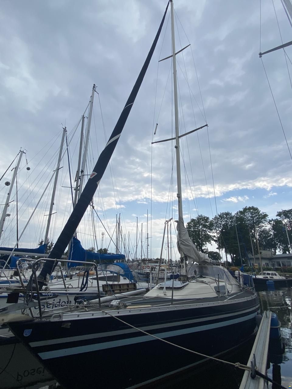 Contessa 35s
