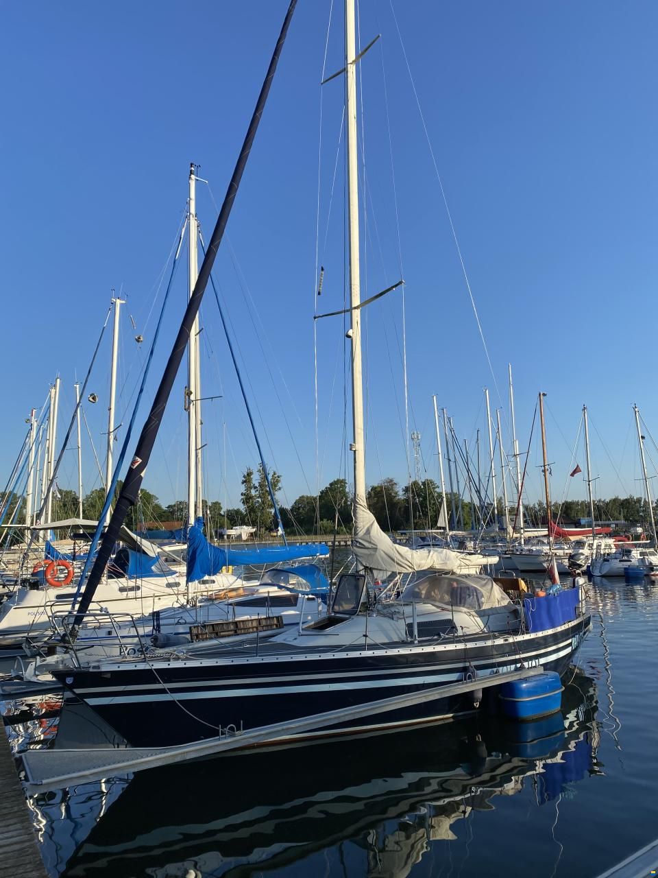 Contessa 35s