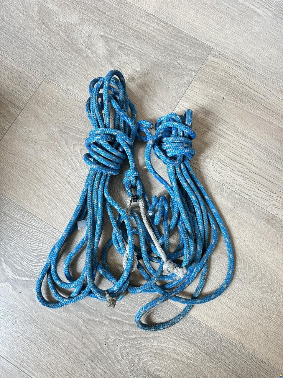 Farrier F31
