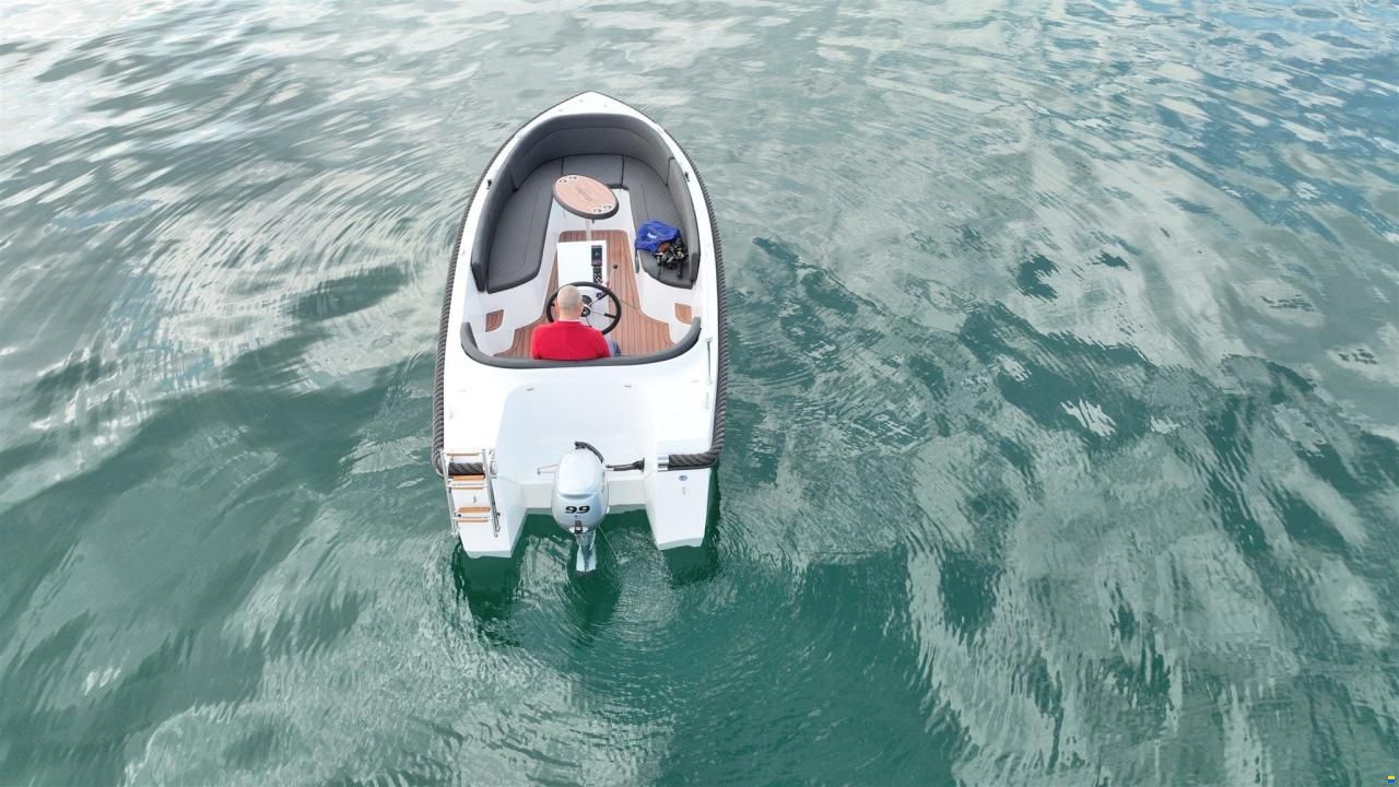 Maxima 550