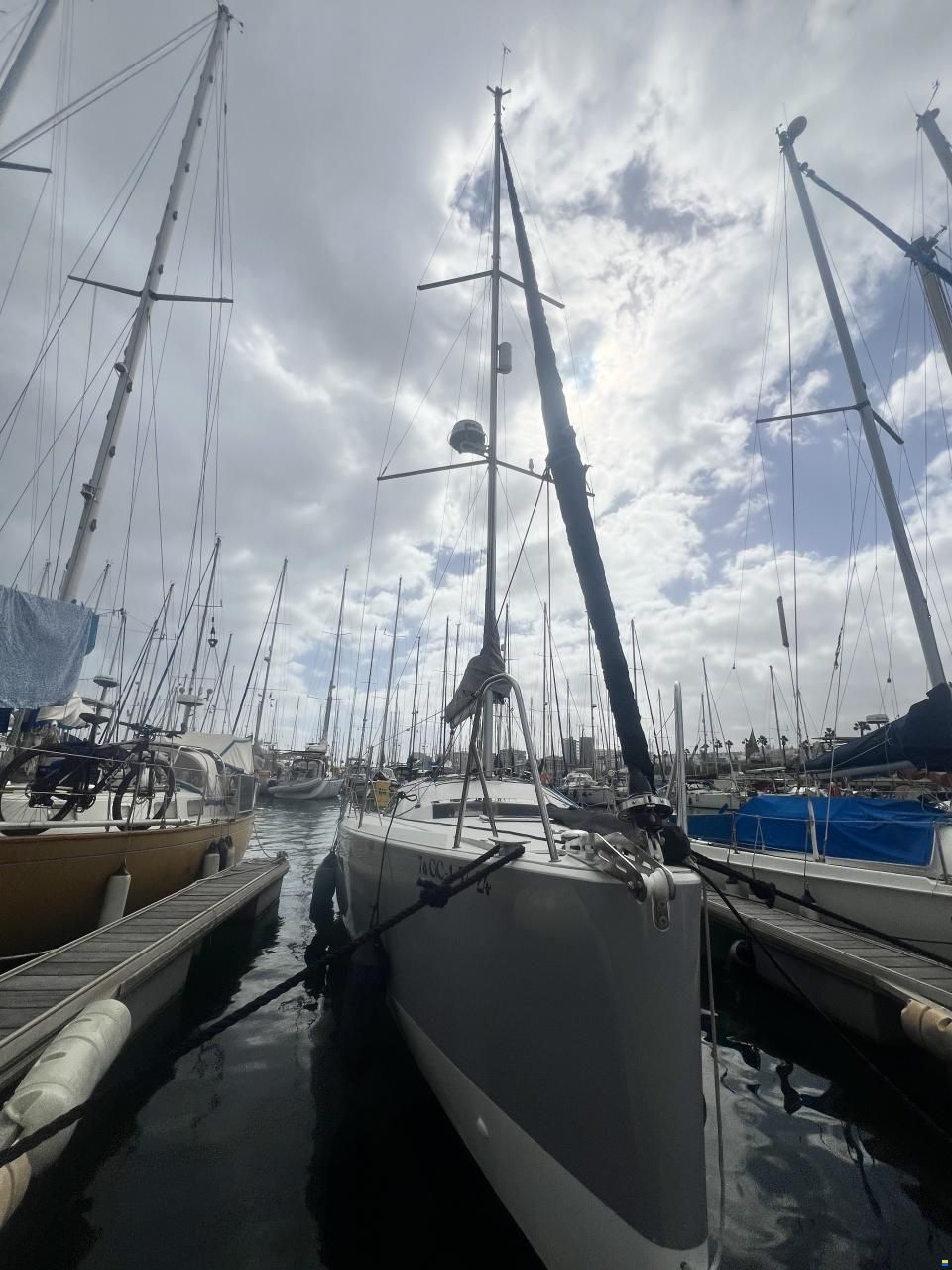 Pogo 30