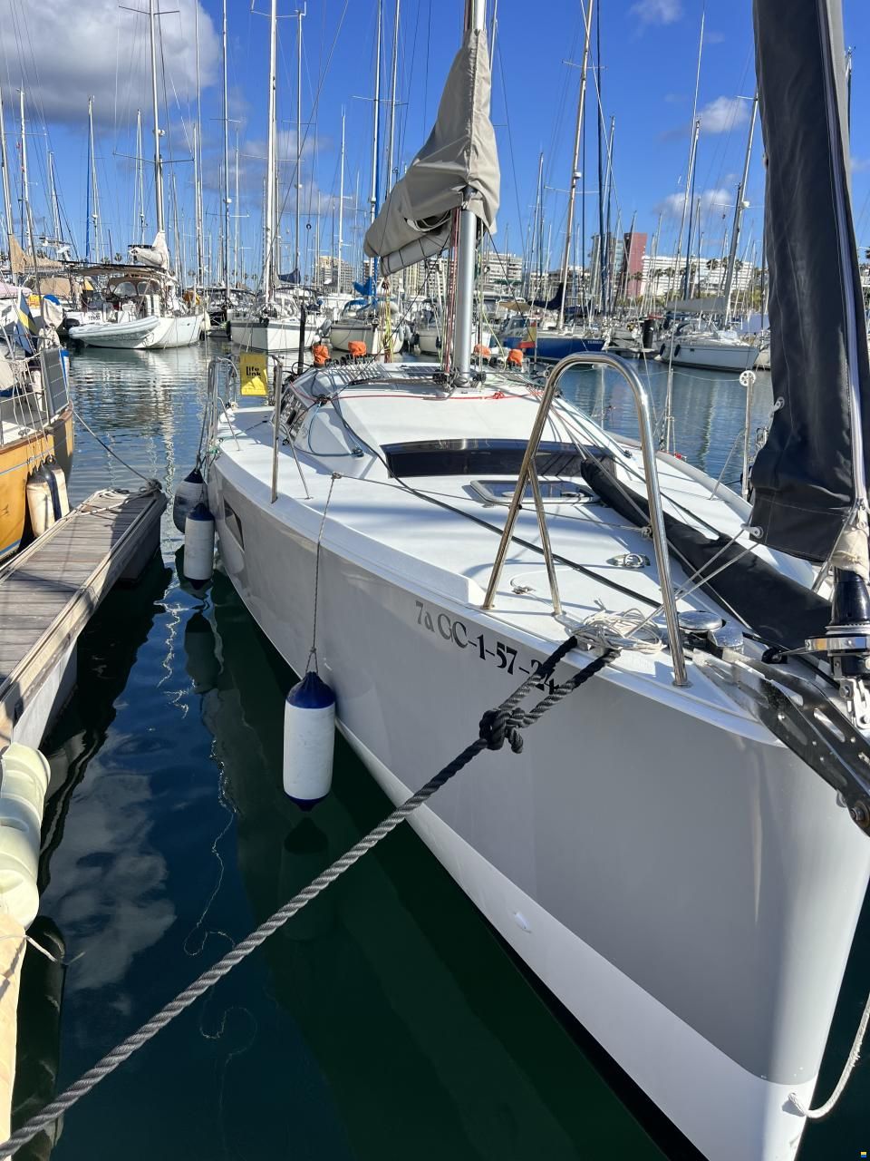 Pogo 30