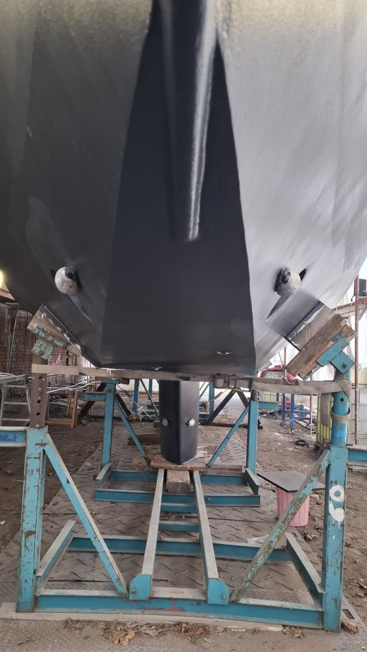 Reinke Hydra 50