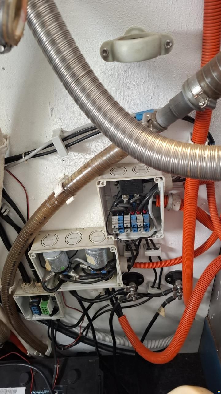 Reinke Hydra 50