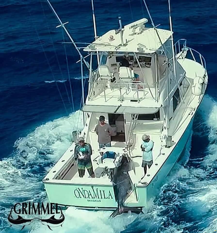 Henriques 38 Sportfish