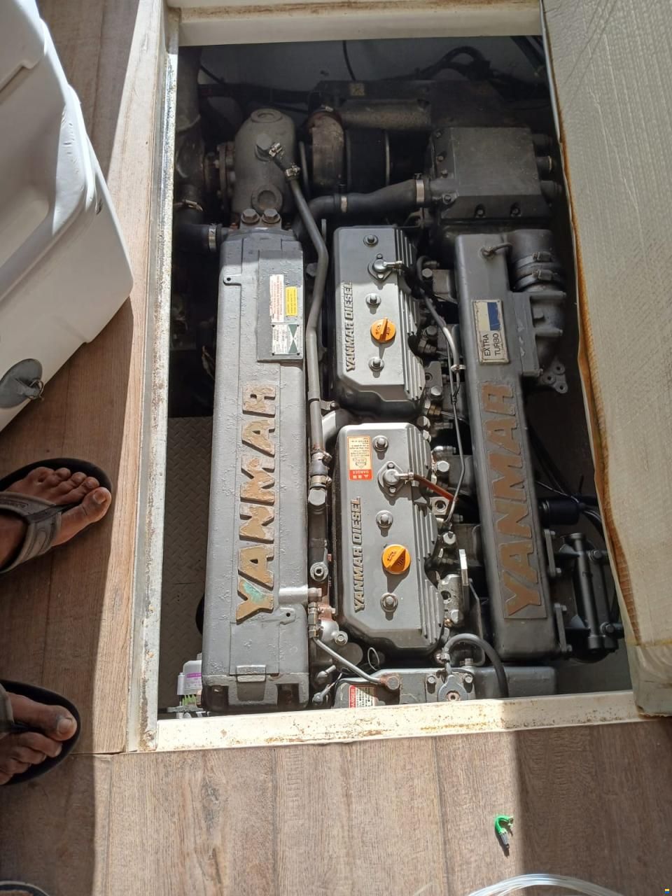 Henriques 38 Sportfish