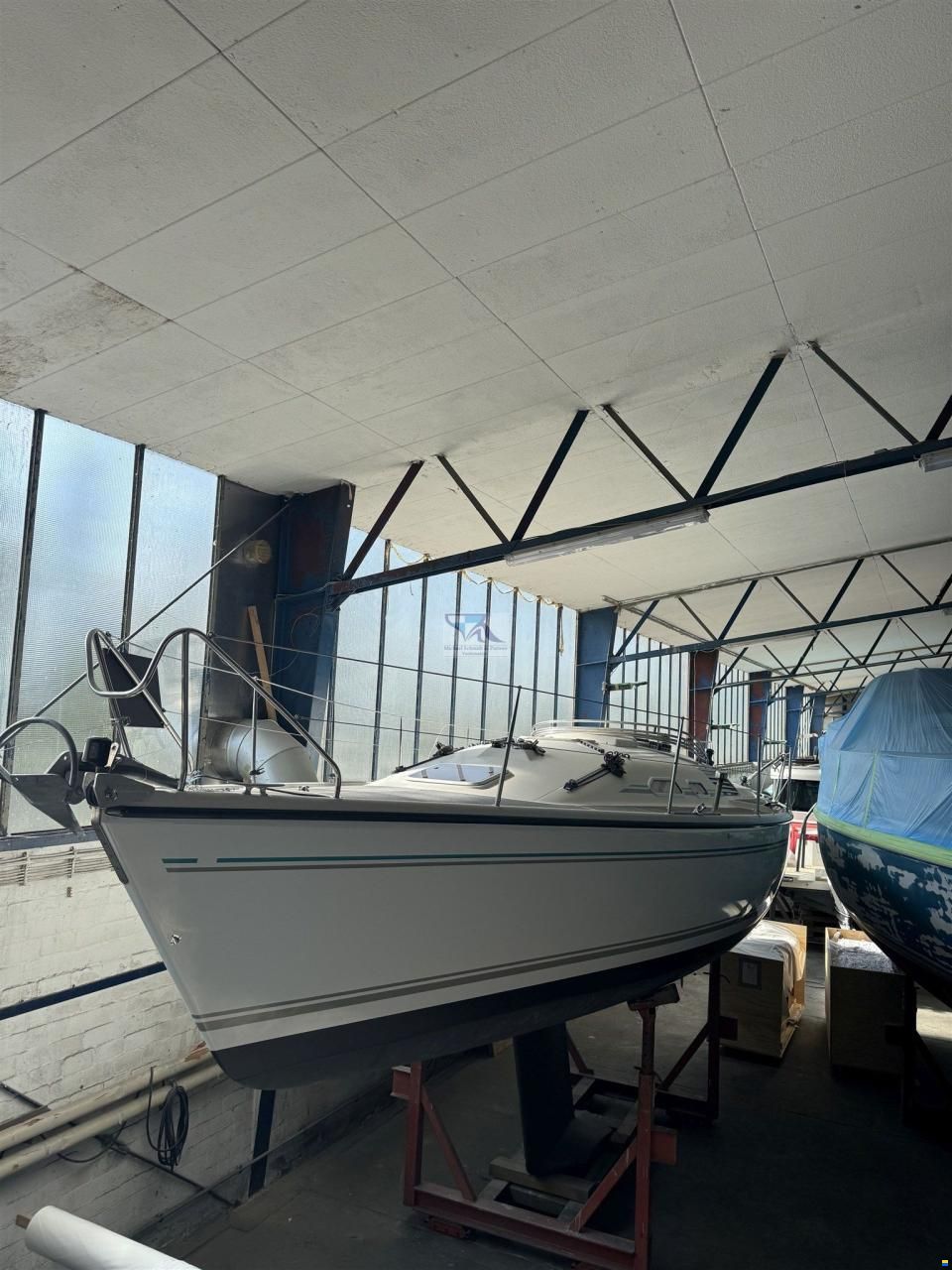 Dehler 36 Match Race