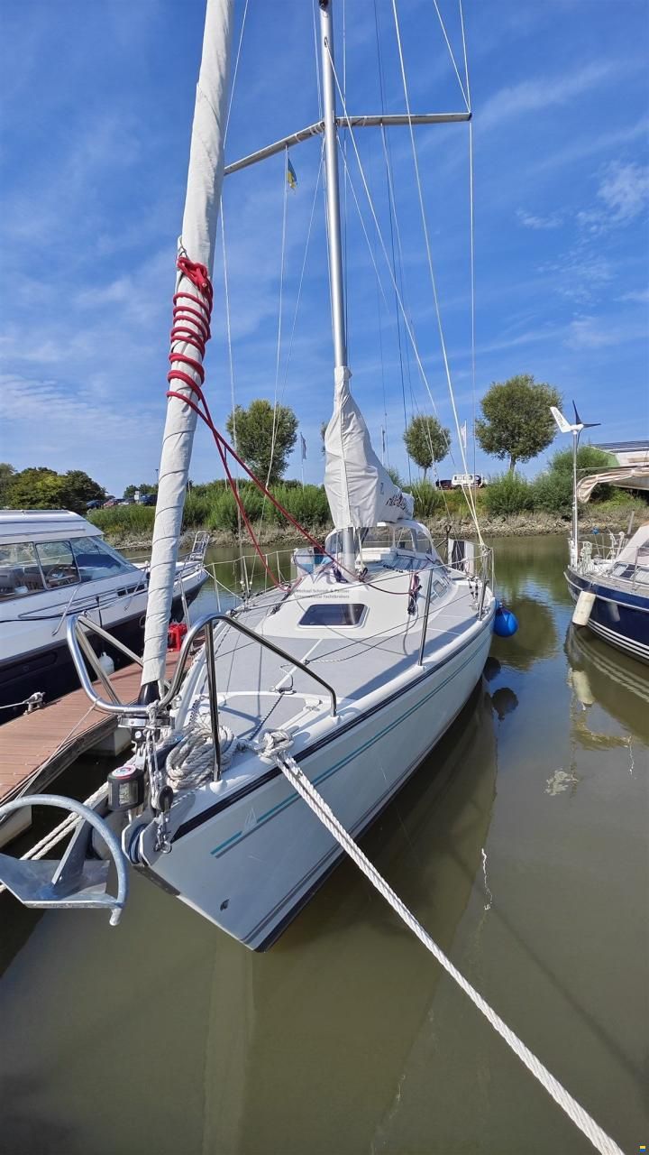 Dehler 36 Match Race